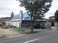 熱帯魚のペンギン村