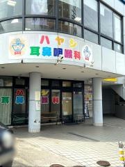 ハヤシ耳鼻咽喉科