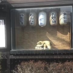 なかよし亭