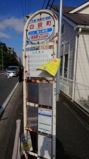 「白根町」バス停留所