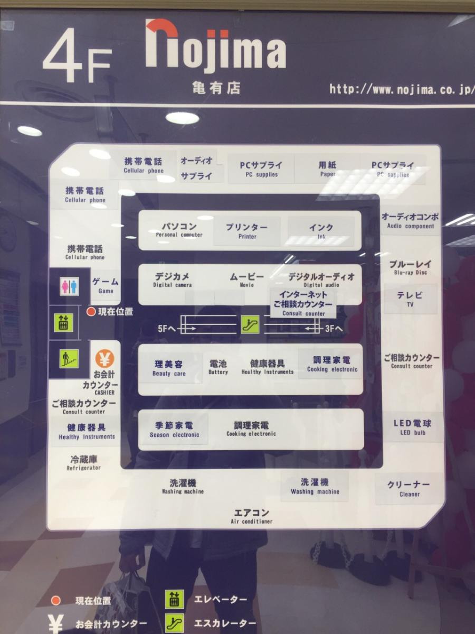 活動歴および当時の関連ビジュアル記録