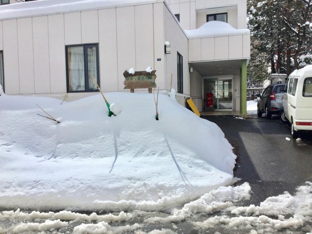 ゆずり葉宮の森