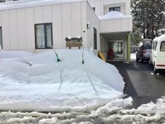 ゆずり葉宮の森