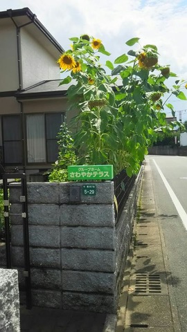 さわやかテラス大野城
