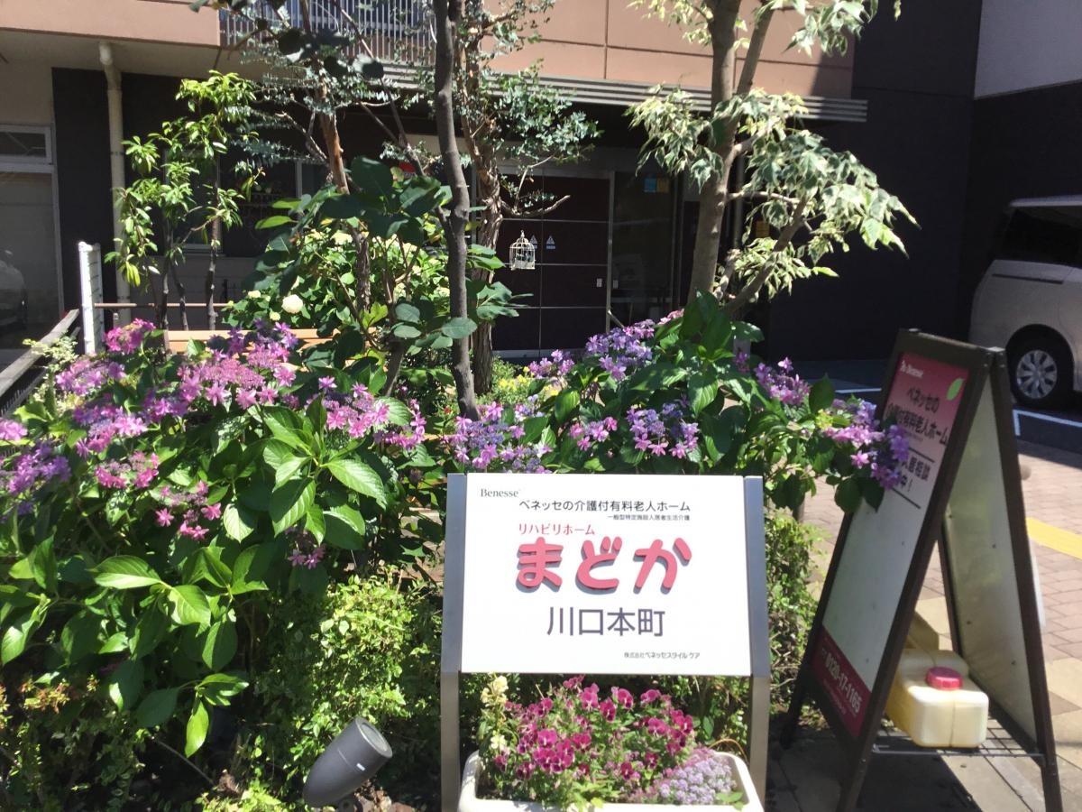 リハビリホームまどか川口本町