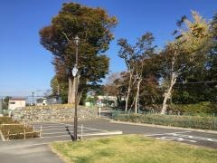 城山公園