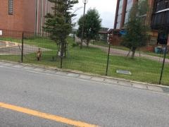 東京福祉大学短期大学部