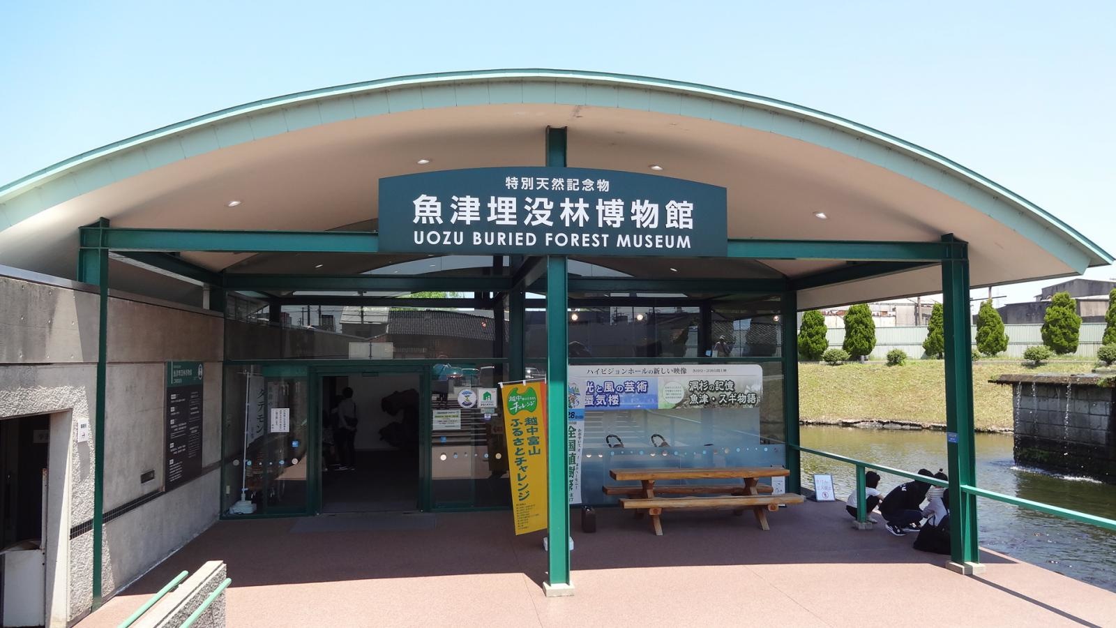魚津埋没林博物館