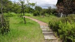 鎮守の森公園