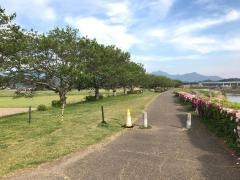 島田川公園