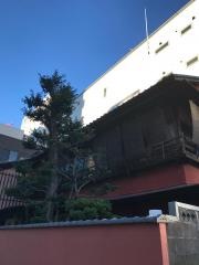 とり要
