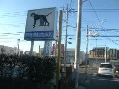 四街道動物病院