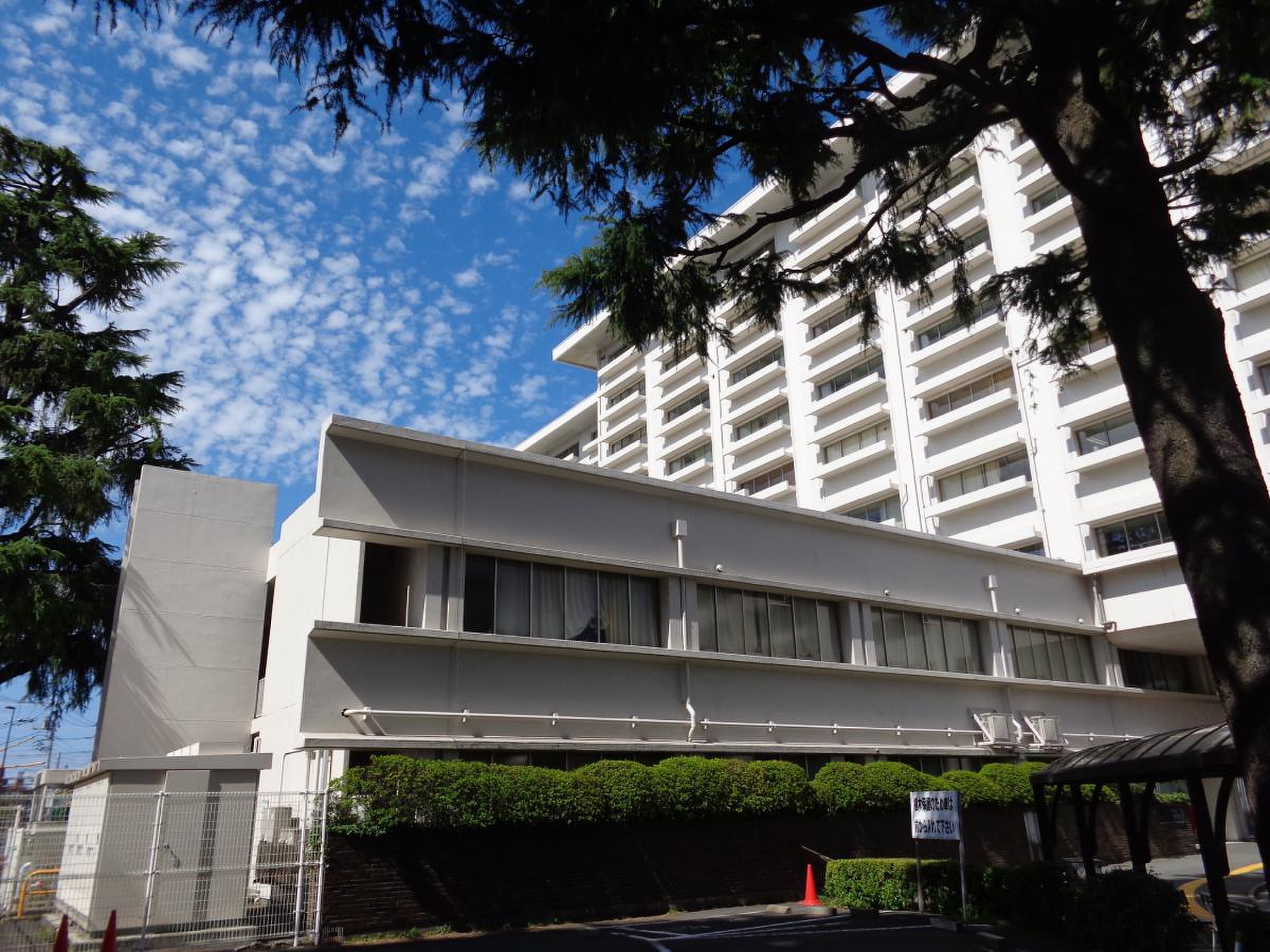 東京 慈恵 会 医科 大学 附属 第 三 病院