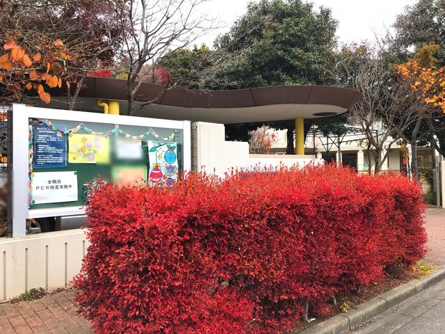 おやどり