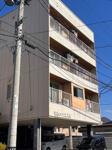 安心ハウス福寿草
