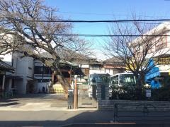 台東初音幼稚園