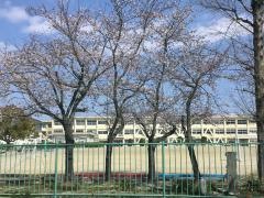 佐屋小学校