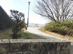 北山東緑地