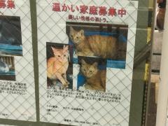 ミラ動物病院