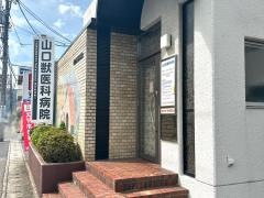 山口獣医科病院