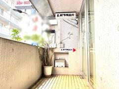 シバウラ歯科