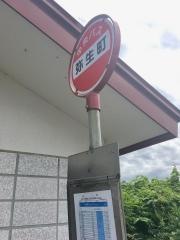 「弥生町」バス停留所