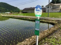 「養魚場入口」バス停留所