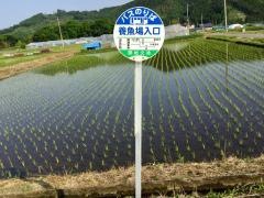「養魚場入口」バス停留所