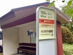 「パレスホテル箱根前」バス停留所