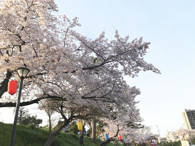 施設写真116