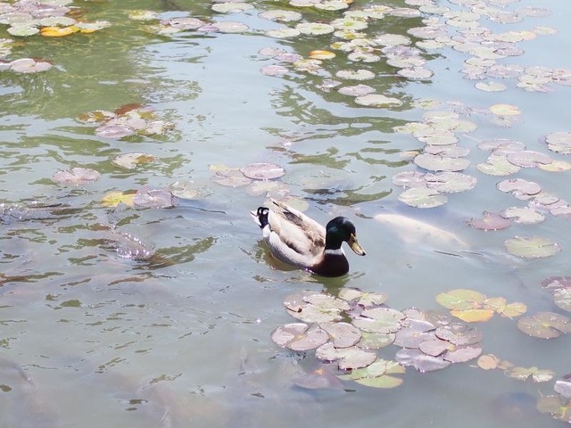 施設写真166