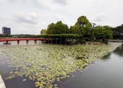 天王川公園