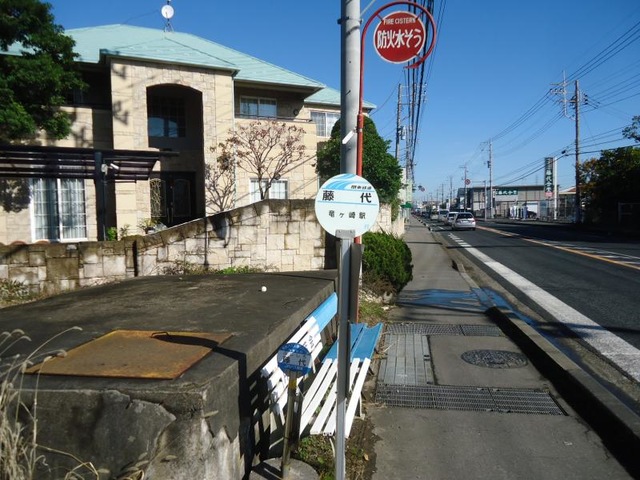 投稿写真1