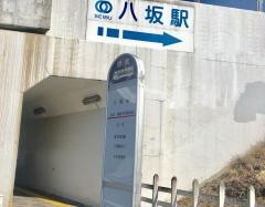 「八坂駅前」バス停留所