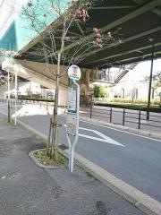 「淀川パークハウス」バス停留所