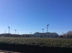 ケアステーション所沢