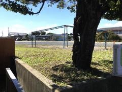 見川幼稚園