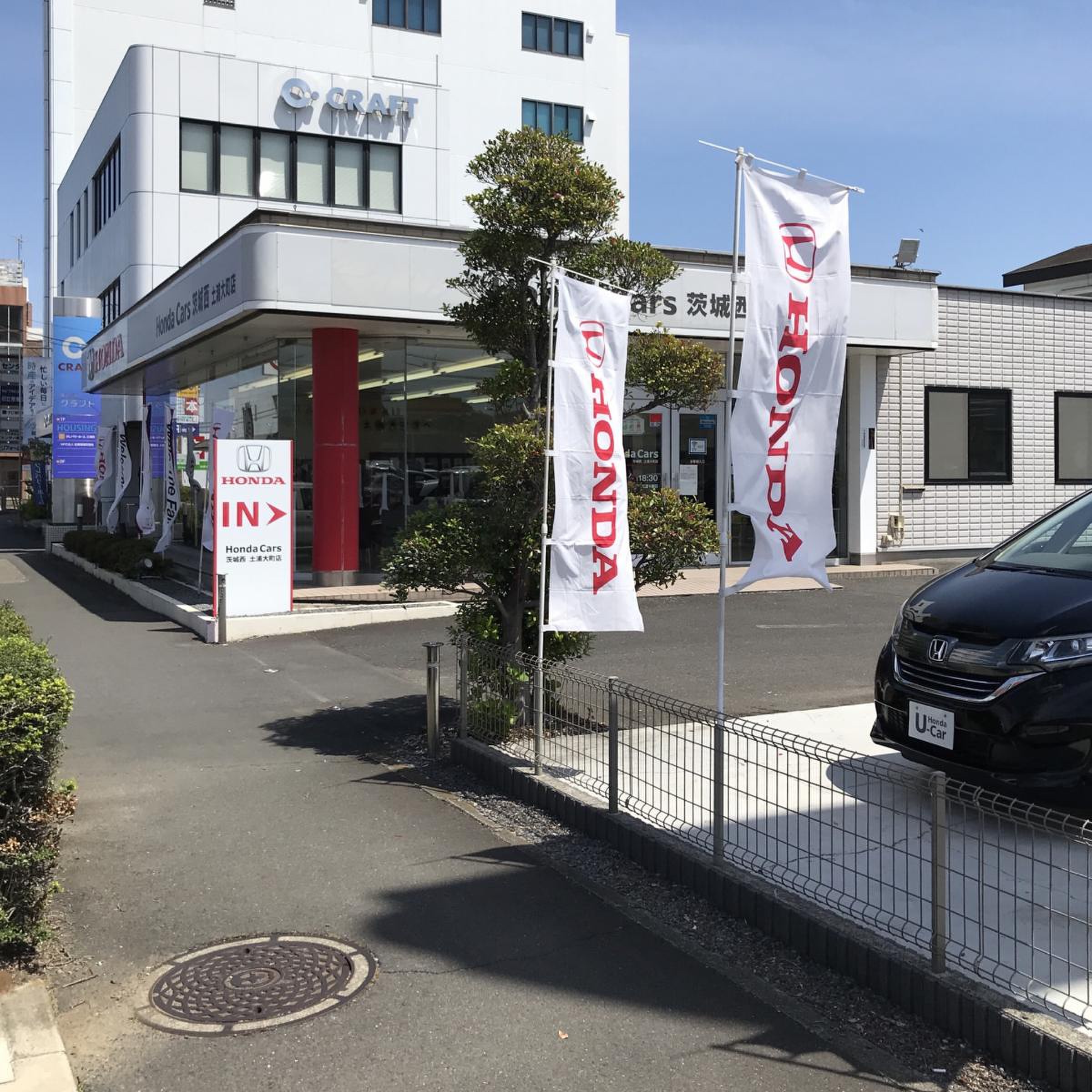 活動歴および当時の関連ビジュアル記録