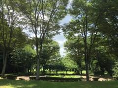 八坂公園