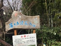 等々力渓谷