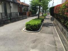 上地東緑道