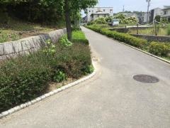 上地東緑道
