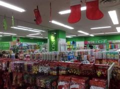 ザ・ダイソー　ゆめタウン新南陽店