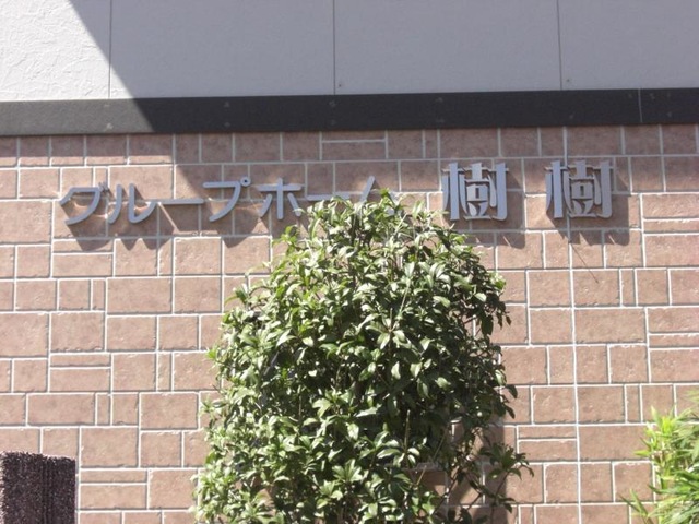 樹樹