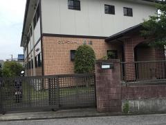 樹樹