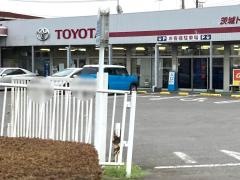 茨城トヨタ自動車下館店