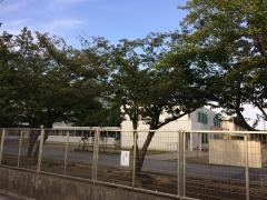 蘇我小学校