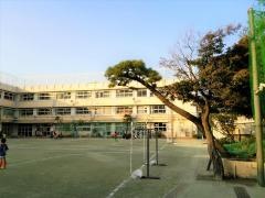 若林小学校