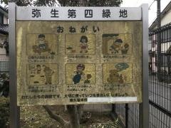 弥生第4緑地