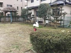 弥生第4緑地